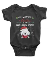 Infant Short Sleeve Bodysuit