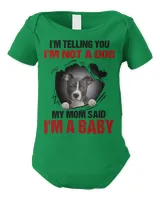 Infant Short Sleeve Bodysuit