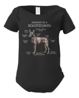 Infant Short Sleeve Bodysuit