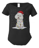 Infant Short Sleeve Bodysuit