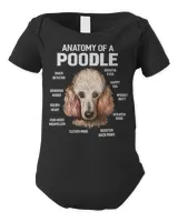 Infant Short Sleeve Bodysuit