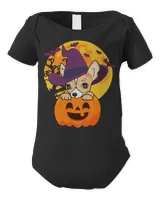 Infant Short Sleeve Bodysuit