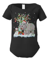 Infant Short Sleeve Bodysuit