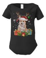 Infant Short Sleeve Bodysuit