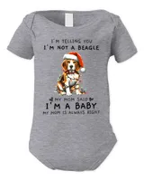 Infant Short Sleeve Bodysuit