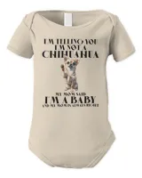 Infant Short Sleeve Bodysuit