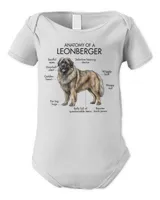 Infant Short Sleeve Bodysuit