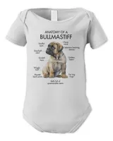 Infant Short Sleeve Bodysuit