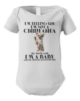 Infant Short Sleeve Bodysuit