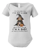 Infant Short Sleeve Bodysuit