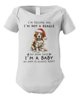 Infant Short Sleeve Bodysuit