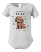 Infant Short Sleeve Bodysuit