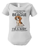 Infant Short Sleeve Bodysuit