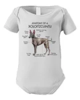 Infant Short Sleeve Bodysuit