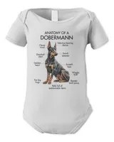 Infant Short Sleeve Bodysuit