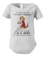 Infant Short Sleeve Bodysuit