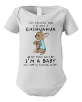 Infant Short Sleeve Bodysuit