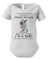 Infant Short Sleeve Bodysuit