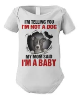Infant Short Sleeve Bodysuit