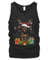 Xmas Holiday Reindeer Hat Santa Rottweiler Dog