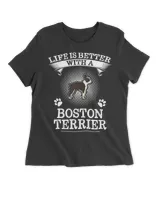 Women's Premium Slim Fit Tee Women's Premium Slim Fit Tee