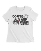 Women's Premium Slim Fit Tee Women's Premium Slim Fit Tee