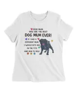 Women's Premium Slim Fit Tee