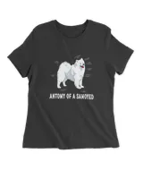 Women's Premium Slim Fit Tee Women's Premium Slim Fit Tee