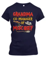 Women's Premium Slim Fit Tee Women's Premium Slim Fit Tee