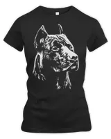 Women's Premium Slim Fit Tee