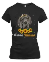 Women's Premium Slim Fit Tee Women's Premium Slim Fit Tee