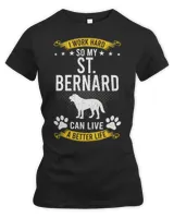 Women's Premium Slim Fit Tee Women's Premium Slim Fit Tee