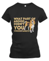 Women's Premium Slim Fit Tee Women's Premium Slim Fit Tee