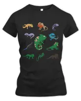 Women's Premium Slim Fit Tee Women's Premium Slim Fit Tee