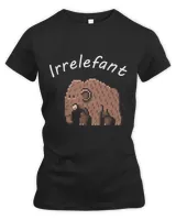 Women's Premium Slim Fit Tee Women's Premium Slim Fit Tee