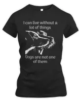 Women's Premium Slim Fit Tee Women's Premium Slim Fit Tee