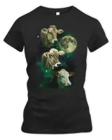 Women's Premium Slim Fit Tee