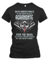 Women's Premium Slim Fit Tee Women's Premium Slim Fit Tee