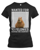 Women's Premium Slim Fit Tee