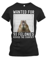 Women's Premium Slim Fit Tee