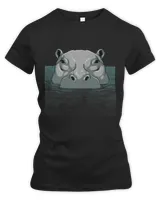Women's Premium Slim Fit Tee Women's Premium Slim Fit Tee