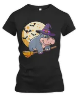 Women's Premium Slim Fit Tee