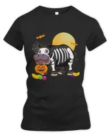 Women's Premium Slim Fit Tee Women's Premium Slim Fit Tee