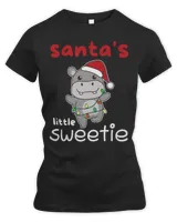 Women's Premium Slim Fit Tee Women's Premium Slim Fit Tee