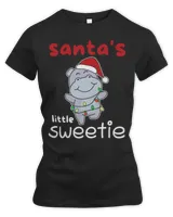 Women's Premium Slim Fit Tee Women's Premium Slim Fit Tee