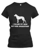 Women's Premium Slim Fit Tee Women's Premium Slim Fit Tee