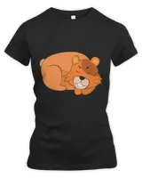 Women's Premium Slim Fit Tee Women's Premium Slim Fit Tee