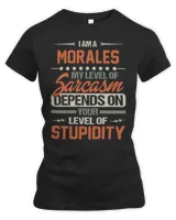 Women's Premium Slim Fit Tee Women's Premium Slim Fit Tee
