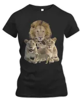 Women's Premium Slim Fit Tee Women's Premium Slim Fit Tee