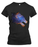 Women's Premium Slim Fit Tee Women's Premium Slim Fit Tee
